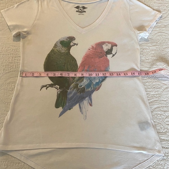 Signorelli Parrots Tshirt - Picture 8 of 11